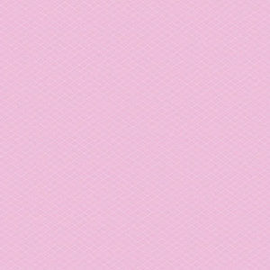 Meet your Posher, Selena